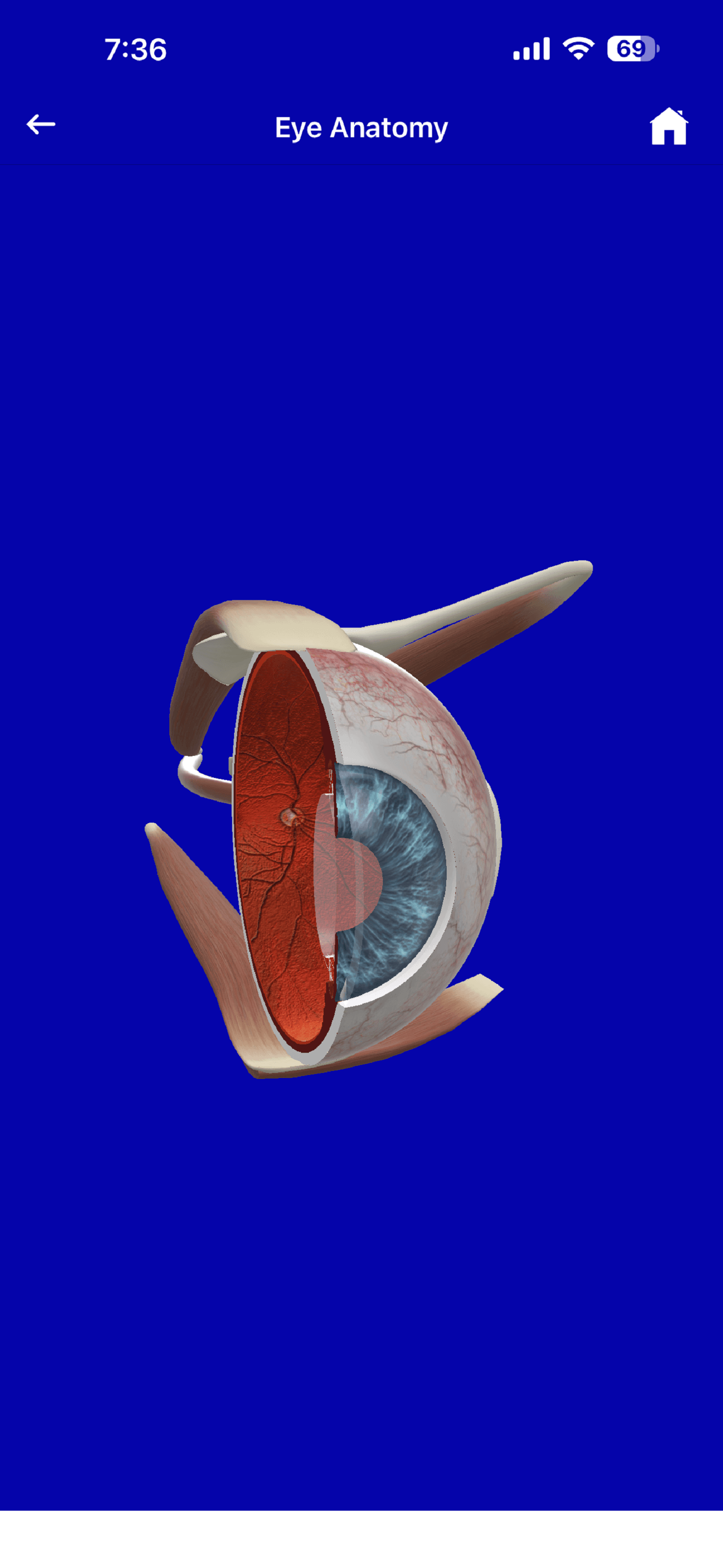 3D library For Eye Care Providers