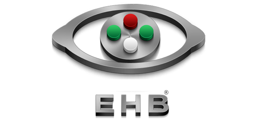 Eye Handbook app logo
